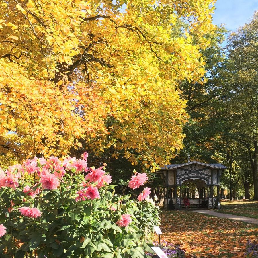 Allee Apartment Baden-Baden Eksteriør bilde